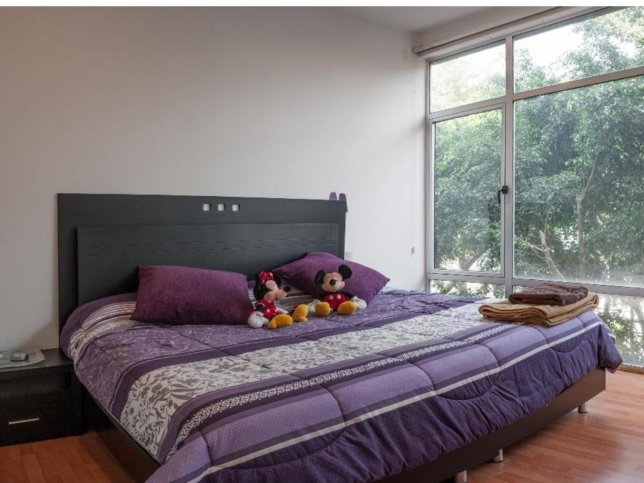 メキシコシティHermoso Departamento Cerca De Todoアパートメント エクステリア 写真